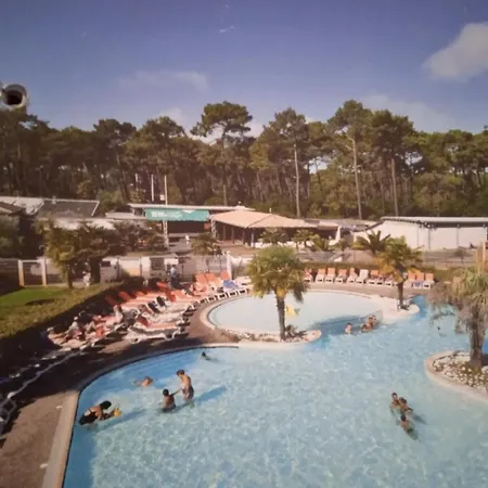 Les Viviers Lege-Cap-Ferret